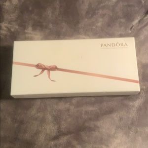 Pandora Jewlery Bag